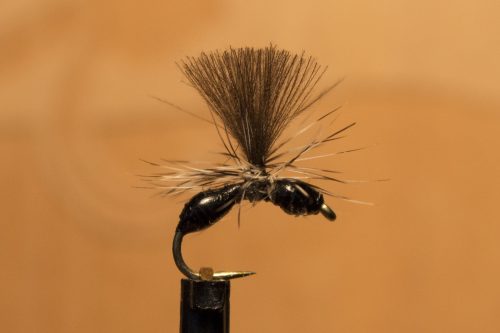 small-flies-for-Bosnia-31