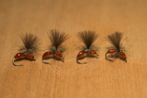 small-flies-for-Bosnia-33