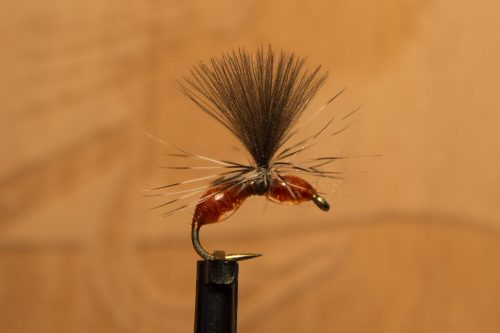 small-flies-for-Bosnia-34
