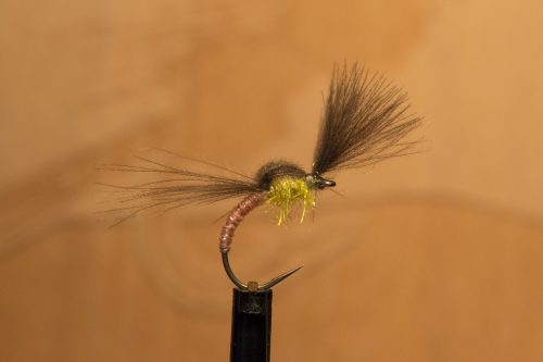 small-flies-for-Bosnia-37