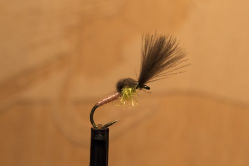small-flies-for-Bosnia-38