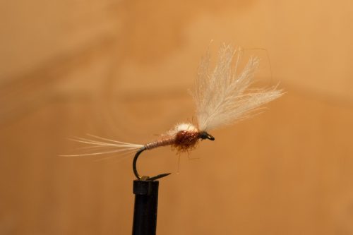 small-flies-for-Bosnia-39