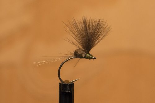 small-flies-for-Bosnia-71