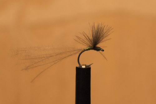 small-flies-for-Bosnia-72