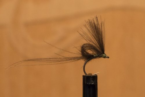 small-flies-for-Bosnia-74