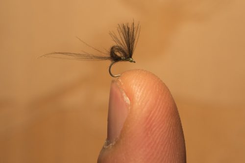 small-flies-for-Bosnia-75