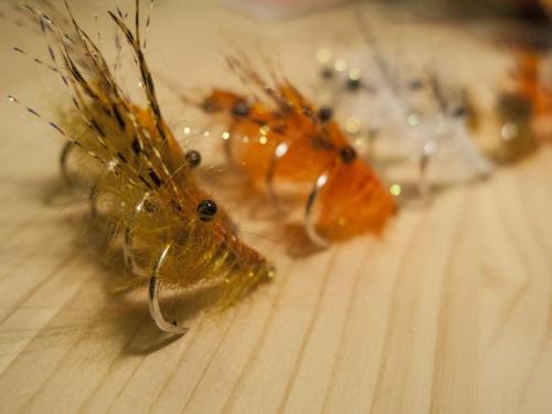 small-shrimps-01