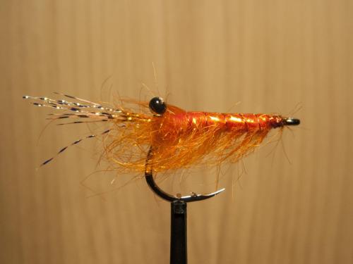 small-shrimps-02