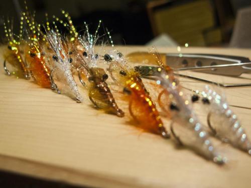 small-shrimps-03