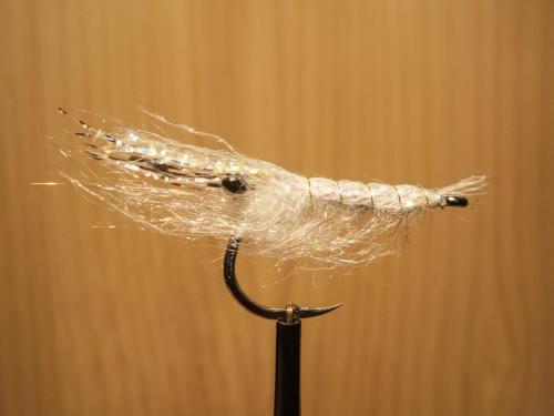 small-shrimps-04