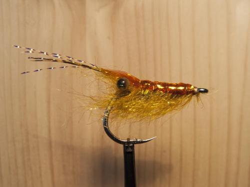 small-shrimps-05