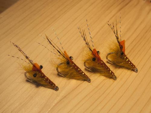 small-shrimps-06