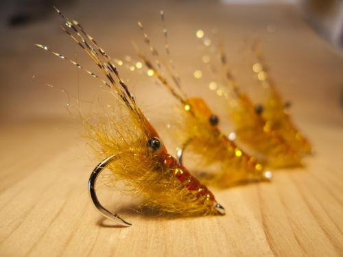 small-shrimps-07