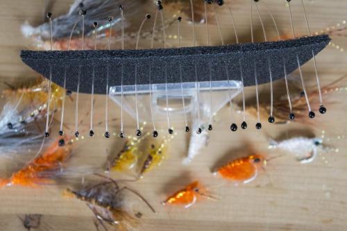 small-shrimps-08