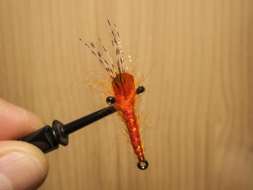 small-shrimps-09
