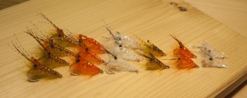 small-shrimps-10