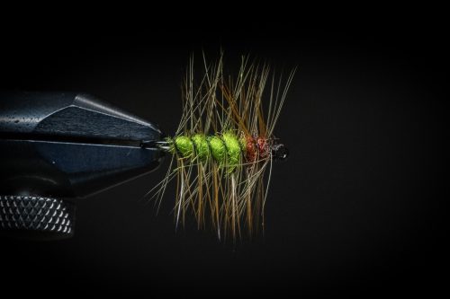 Super Pupa Sweden