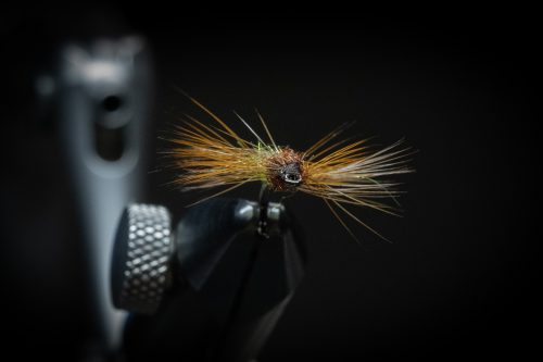 Super Pupa Sweden