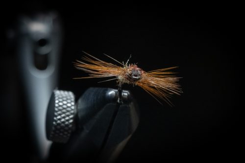 Super Pupa Sweden