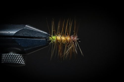 Super Pupa Sweden