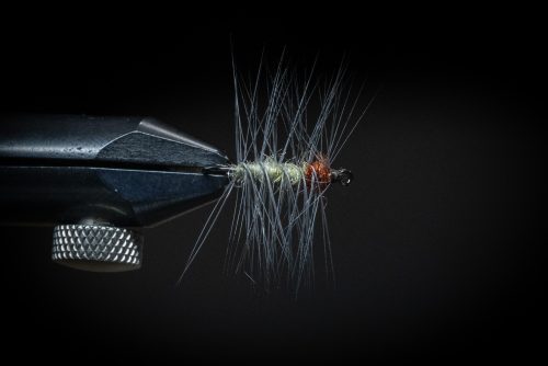 Super Pupa Sweden