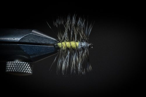 Super Pupa Sweden