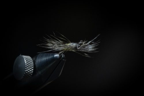 Super Pupa Sweden