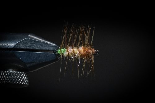 Super Pupa Sweden