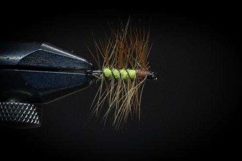 Super Pupa Sweden