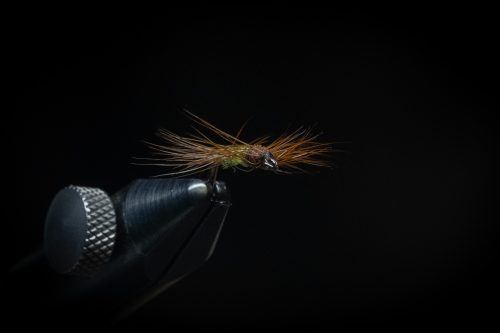 Super Pupa Sweden