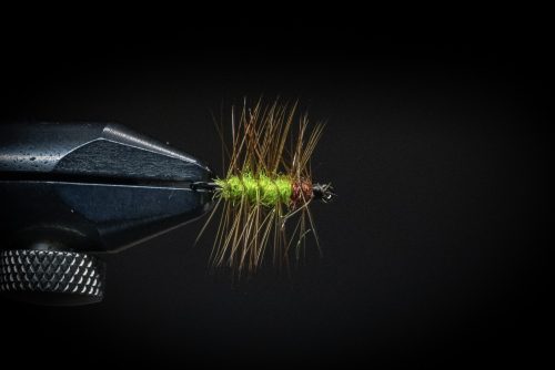 Super Pupa Sweden