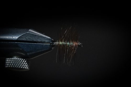 Super Pupa Sweden