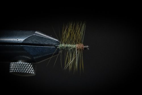 Super Pupa Sweden