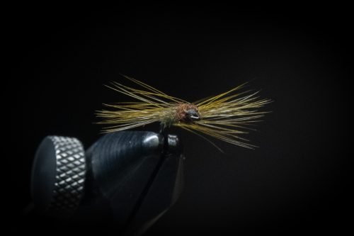Super Pupa Sweden