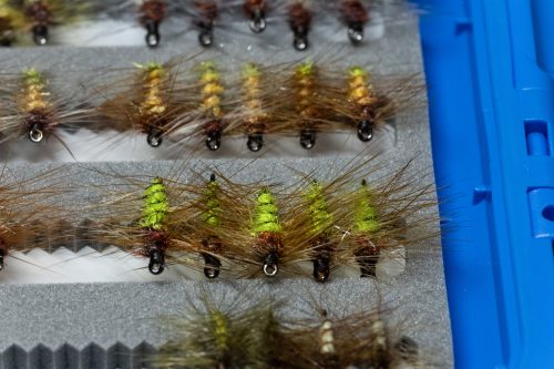 Super Pupa Sweden