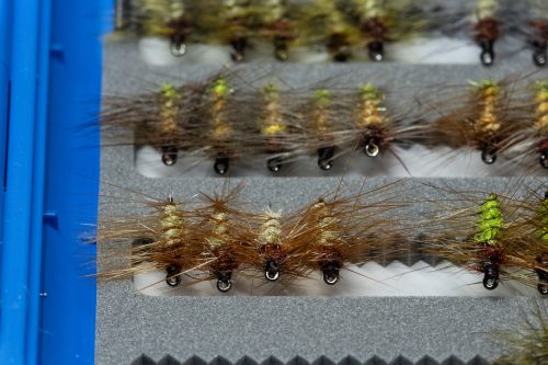 Super Pupa Sweden