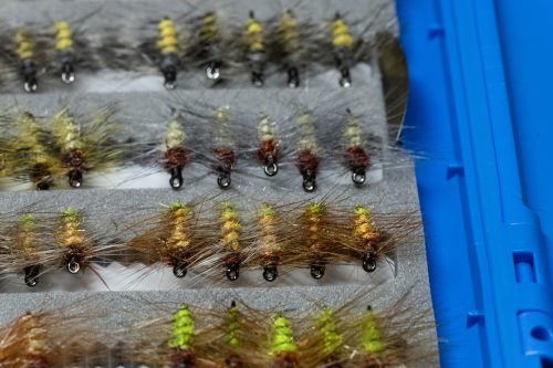 Super Pupa Sweden