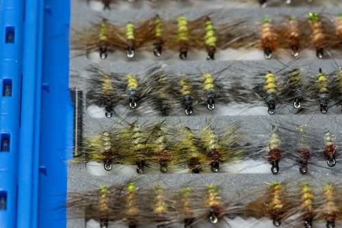 Super Pupa Sweden