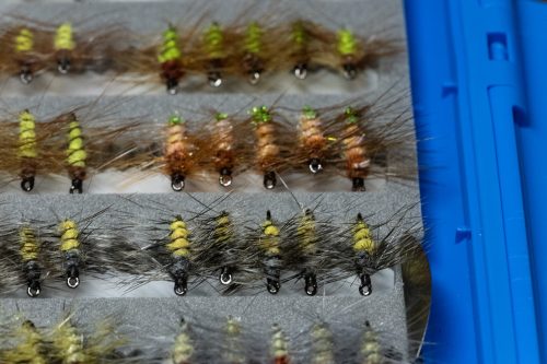 Super Pupa Sweden