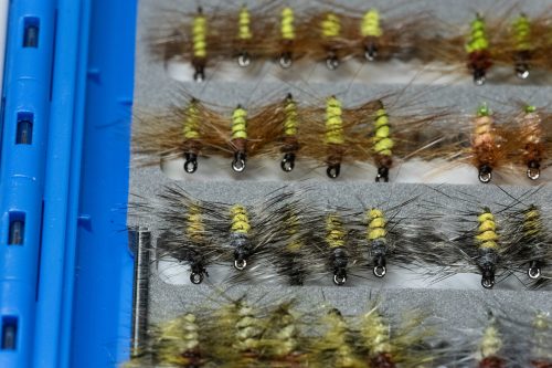Super Pupa Sweden