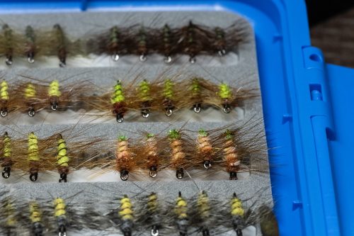 Super Pupa Sweden