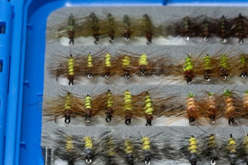Super Pupa Sweden