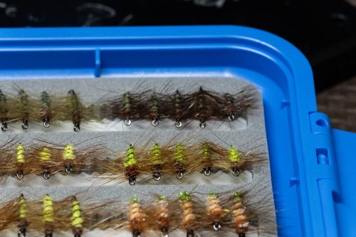 Super Pupa Sweden
