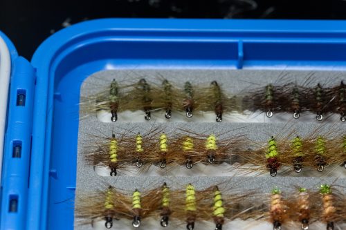 Super Pupa Sweden
