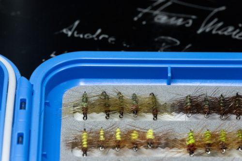 Super Pupa Sweden
