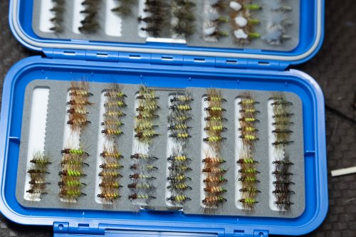 Super Pupa Sweden