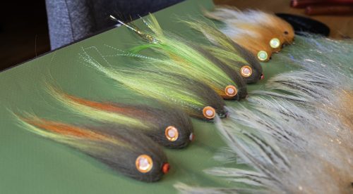 tiger-fish-streamers-04