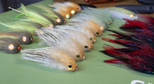 tiger-fish-streamers-05