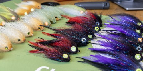 tiger-fish-streamers-06