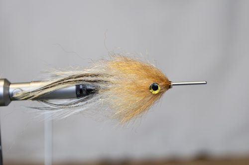 tiger-fish-streamers-18